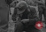 Image Des prisonniers allemands Normandie France, 1944, de la seconde 52 séquences d'archives historiques vidéo 65675059455