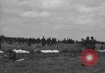 Immagine di American temporaneo Laurent cimitero in Francia Normandia Francia, 1944, secondo 5 filmato di repertorio 65675059457