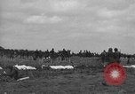 Immagine di American temporaneo Laurent cimitero in Francia Normandia Francia, 1944, secondo 6 filmato di repertorio 65675059457