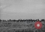 Immagine di American temporaneo Laurent cimitero in Francia Normandia Francia, 1944, secondo 15 filmato di repertorio 65675059457