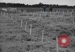 Immagine di American temporaneo Laurent cimitero in Francia Normandia Francia, 1944, secondo 19 filmato di repertorio 65675059457