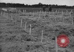 Immagine di American temporaneo Laurent cimitero in Francia Normandia Francia, 1944, secondo 20 filmato di repertorio 65675059457