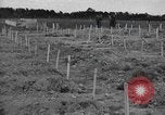 Immagine di American temporaneo Laurent cimitero in Francia Normandia Francia, 1944, secondo 22 filmato di repertorio 65675059457