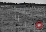 Immagine di American temporaneo Laurent cimitero in Francia Normandia Francia, 1944, secondo 23 filmato di repertorio 65675059457