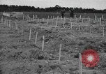 Immagine di American temporaneo Laurent cimitero in Francia Normandia Francia, 1944, secondo 24 filmato di repertorio 65675059457