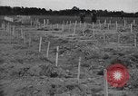 Immagine di American temporaneo Laurent cimitero in Francia Normandia Francia, 1944, secondo 25 filmato di repertorio 65675059457