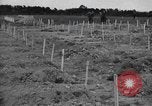 Immagine di American temporaneo Laurent cimitero in Francia Normandia Francia, 1944, secondo 26 filmato di repertorio 65675059457