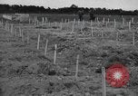 Immagine di American temporaneo Laurent cimitero in Francia Normandia Francia, 1944, secondo 27 filmato di repertorio 65675059457