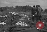 Immagine di American temporaneo Laurent cimitero in Francia Normandia Francia, 1944, secondo 44 filmato di repertorio 65675059457