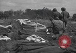 Immagine di American temporaneo Laurent cimitero in Francia Normandia Francia, 1944, secondo 47 filmato di repertorio 65675059457