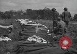 Immagine di American temporaneo Laurent cimitero in Francia Normandia Francia, 1944, secondo 49 filmato di repertorio 65675059457