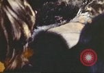 Standbild Anti-vietnam-März Washington DC USA, 1969, aus Sekunde 27 historischem Filmmaterial Videoclip 65675059462