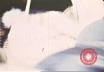 Standbild Anti-vietnam-März Washington DC USA, 1969, aus Sekunde 33 historischem Filmmaterial Videoclip 65675059462