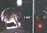 Image of Peace march against Vietnam War Washington DC USA, 1969, second 21 stock footage video 65675059464