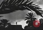 Image mosquée Kairouan Tunisie, 1942, de la seconde 19 séquences d'archives historiques vidéo 65675059505