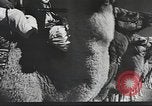 Immagine di Saphis francese Kairouan Tunisia, 1942, secondo 12 filmato di repertorio 65675059506