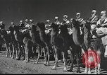 Immagine di Saphis francese Kairouan Tunisia, 1942, secondo 18 filmato di repertorio 65675059506