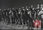 Immagine di Saphis francese Kairouan Tunisia, 1942, secondo 19 filmato di repertorio 65675059506