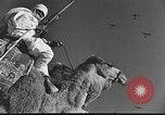 Immagine di Saphis francese Kairouan Tunisia, 1942, secondo 51 filmato di repertorio 65675059506