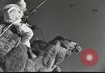 Immagine di Saphis francese Kairouan Tunisia, 1942, secondo 52 filmato di repertorio 65675059506