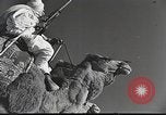 Immagine di Saphis francese Kairouan Tunisia, 1942, secondo 53 filmato di repertorio 65675059506