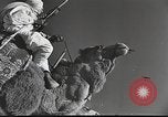 Immagine di Saphis francese Kairouan Tunisia, 1942, secondo 54 filmato di repertorio 65675059506