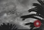 Immagine di Saphis francese Kairouan Tunisia, 1942, secondo 61 filmato di repertorio 65675059506