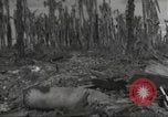 Image Destruction sur l'île Wakde de raid aérien japonais Wakde Island Nouvelle Guinée, 1944, de la seconde 6 séquences d'archives historiques vidéo 65675059508