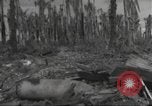 Image Destruction sur l'île Wakde de raid aérien japonais Wakde Island Nouvelle Guinée, 1944, de la seconde 7 séquences d'archives historiques vidéo 65675059508