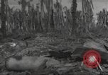Image Destruction sur l'île Wakde de raid aérien japonais Wakde Island Nouvelle Guinée, 1944, de la seconde 8 séquences d'archives historiques vidéo 65675059508