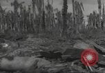 Image Destruction sur l'île Wakde de raid aérien japonais Wakde Island Nouvelle Guinée, 1944, de la seconde 9 séquences d'archives historiques vidéo 65675059508