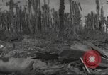 Image Destruction sur l'île Wakde de raid aérien japonais Wakde Island Nouvelle Guinée, 1944, de la seconde 10 séquences d'archives historiques vidéo 65675059508