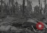 Image Destruction sur l'île Wakde de raid aérien japonais Wakde Island Nouvelle Guinée, 1944, de la seconde 11 séquences d'archives historiques vidéo 65675059508
