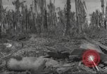 Image Destruction sur l'île Wakde de raid aérien japonais Wakde Island Nouvelle Guinée, 1944, de la seconde 12 séquences d'archives historiques vidéo 65675059508