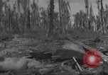 Image Destruction sur l'île Wakde de raid aérien japonais Wakde Island Nouvelle Guinée, 1944, de la seconde 14 séquences d'archives historiques vidéo 65675059508