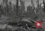 Image Destruction sur l'île Wakde de raid aérien japonais Wakde Island Nouvelle Guinée, 1944, de la seconde 15 séquences d'archives historiques vidéo 65675059508