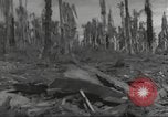 Image Destruction sur l'île Wakde de raid aérien japonais Wakde Island Nouvelle Guinée, 1944, de la seconde 16 séquences d'archives historiques vidéo 65675059508