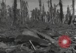Image Destruction sur l'île Wakde de raid aérien japonais Wakde Island Nouvelle Guinée, 1944, de la seconde 17 séquences d'archives historiques vidéo 65675059508