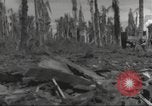 Image Destruction sur l'île Wakde de raid aérien japonais Wakde Island Nouvelle Guinée, 1944, de la seconde 18 séquences d'archives historiques vidéo 65675059508