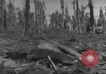 Image Destruction sur l'île Wakde de raid aérien japonais Wakde Island Nouvelle Guinée, 1944, de la seconde 19 séquences d'archives historiques vidéo 65675059508