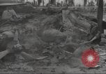 Standbild Hinterlassenschaft der japanischen Luftangriff auf US-Flugplatz gehalten Wakde Insel Neuguinea, 1944, aus Sekunde 25 historischem Filmmaterial Videoclip 65675059509