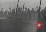 Standbild Hinterlassenschaft der japanischen Luftangriff auf US-Flugplatz gehalten Wakde Insel Neuguinea, 1944, aus Sekunde 60 historischem Filmmaterial Videoclip 65675059509