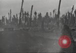 Standbild Hinterlassenschaft der japanischen Luftangriff auf US-Flugplatz gehalten Wakde Insel Neuguinea, 1944, aus Sekunde 61 historischem Filmmaterial Videoclip 65675059509