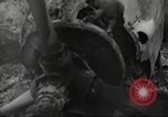 Standbild Ingenieure re-grade Flugplatz nach japanischen Air Raid Wakde Insel Neuguinea, 1944, aus Sekunde 21 historischem Filmmaterial Videoclip 65675059510