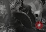 Standbild Ingenieure re-grade Flugplatz nach japanischen Air Raid Wakde Insel Neuguinea, 1944, aus Sekunde 22 historischem Filmmaterial Videoclip 65675059510
