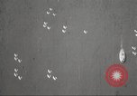 Image of A-3 aircraft San Francisco California USA, 1930, second 57 stock footage video 65675059539