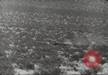 Standbild Anti Aircraft Einheit California United States USA, 1942, aus Sekunde 49 historischem Filmmaterial Videoclip 65675059548
