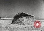 Standbild Anti Aircraft guns United States USA, 1942, aus Sekunde 20 historischem Filmmaterial Videoclip 65675059549