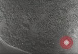 Standbild B-17 Flugzeuge Salomonen, 1942, aus Sekunde 50 historischem Filmmaterial Videoclip 65675059553