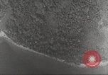 Standbild B-17 Flugzeuge Salomonen, 1942, aus Sekunde 51 historischem Filmmaterial Videoclip 65675059553